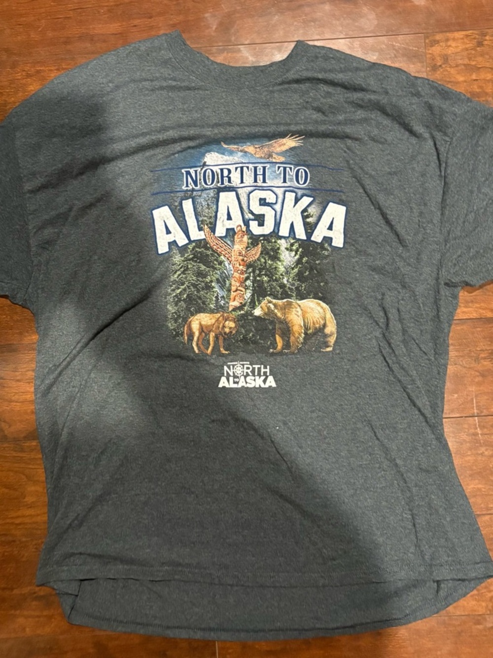 North Alaska Men's Short Sleeve Graphic Tee - Charcoal